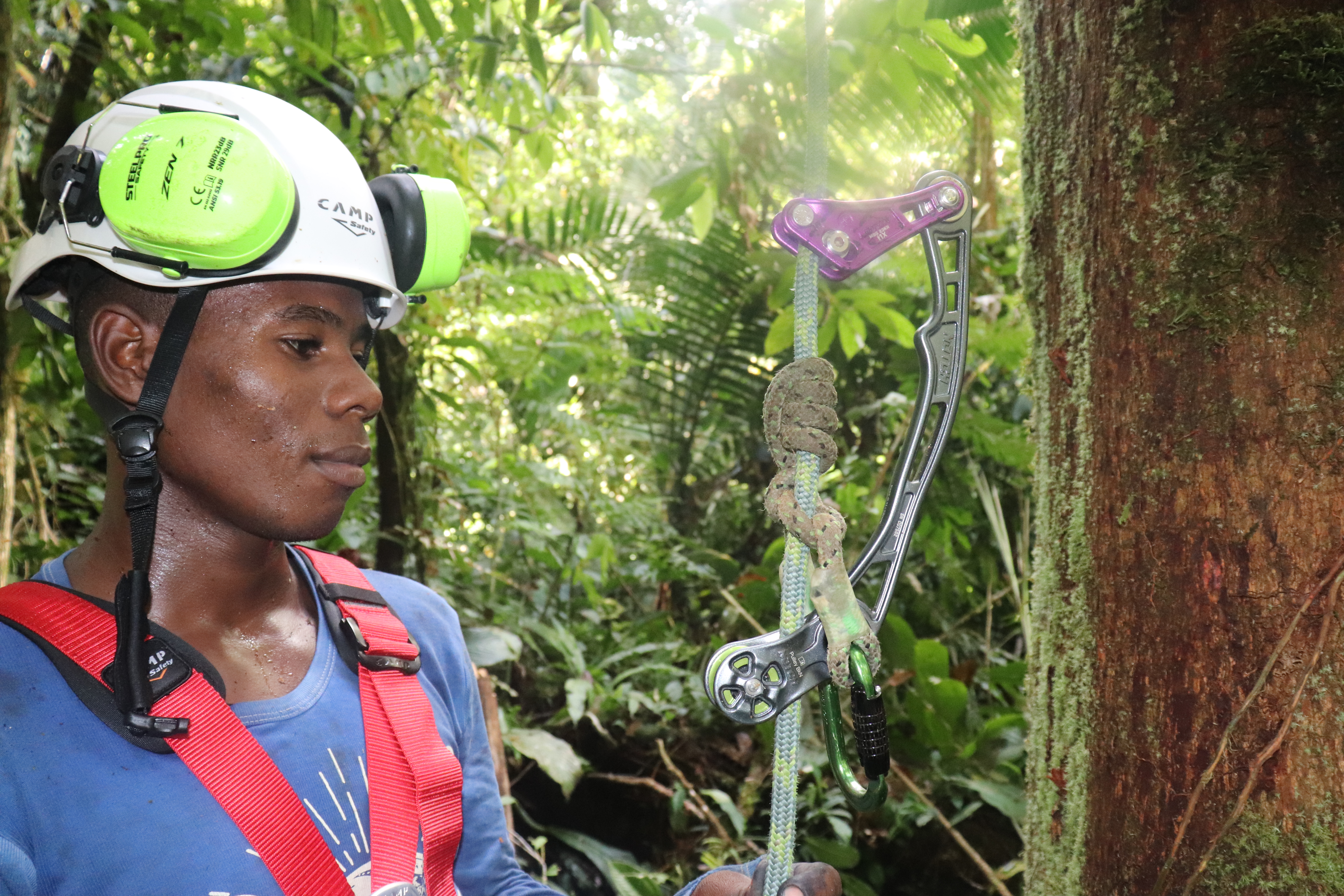 Forestería comunitaria en el Medio Atrato: el caso Asofodema y la implementación de manejo forestal sostenible de bajo impacto